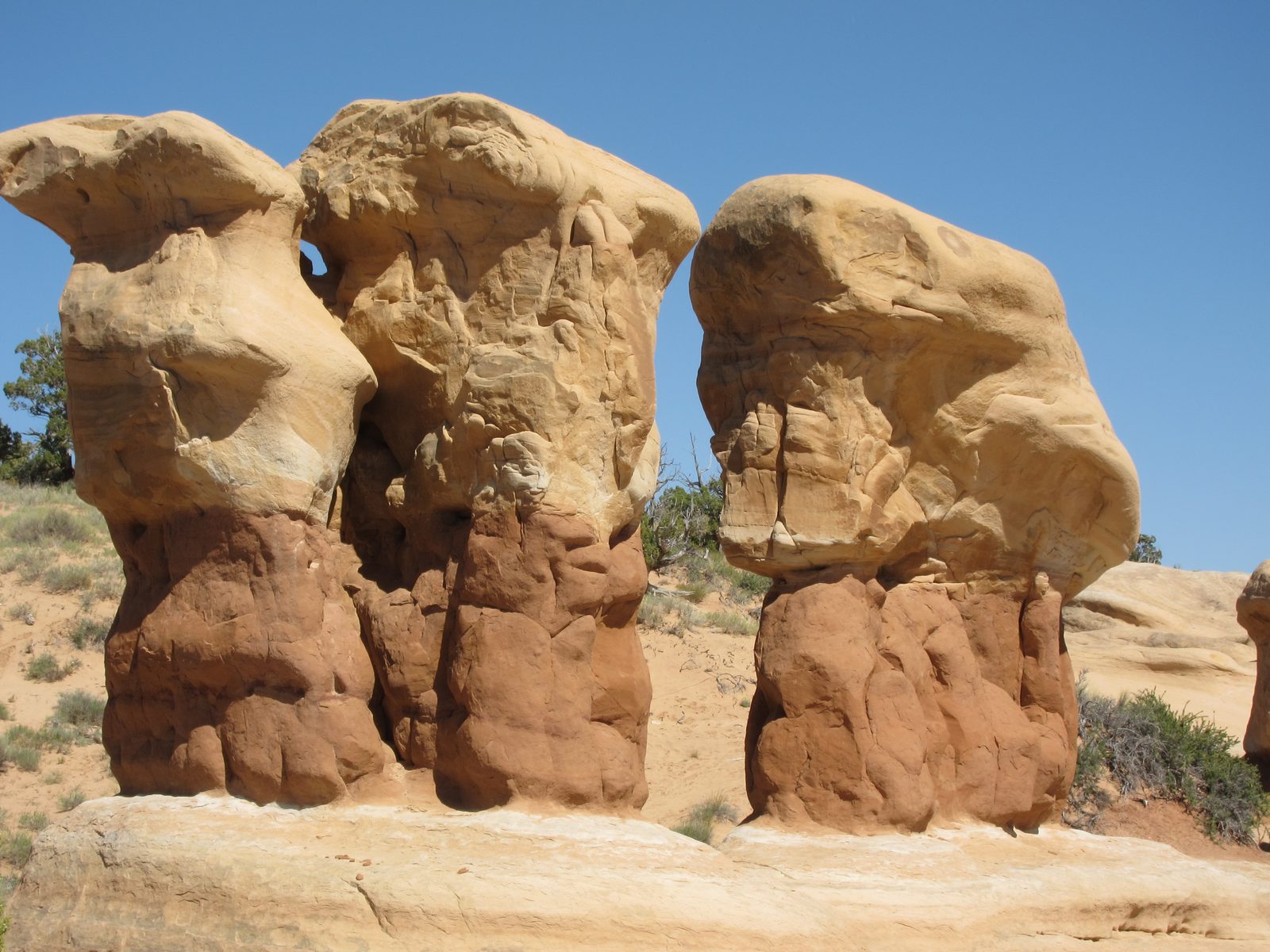 A close up of four friends.